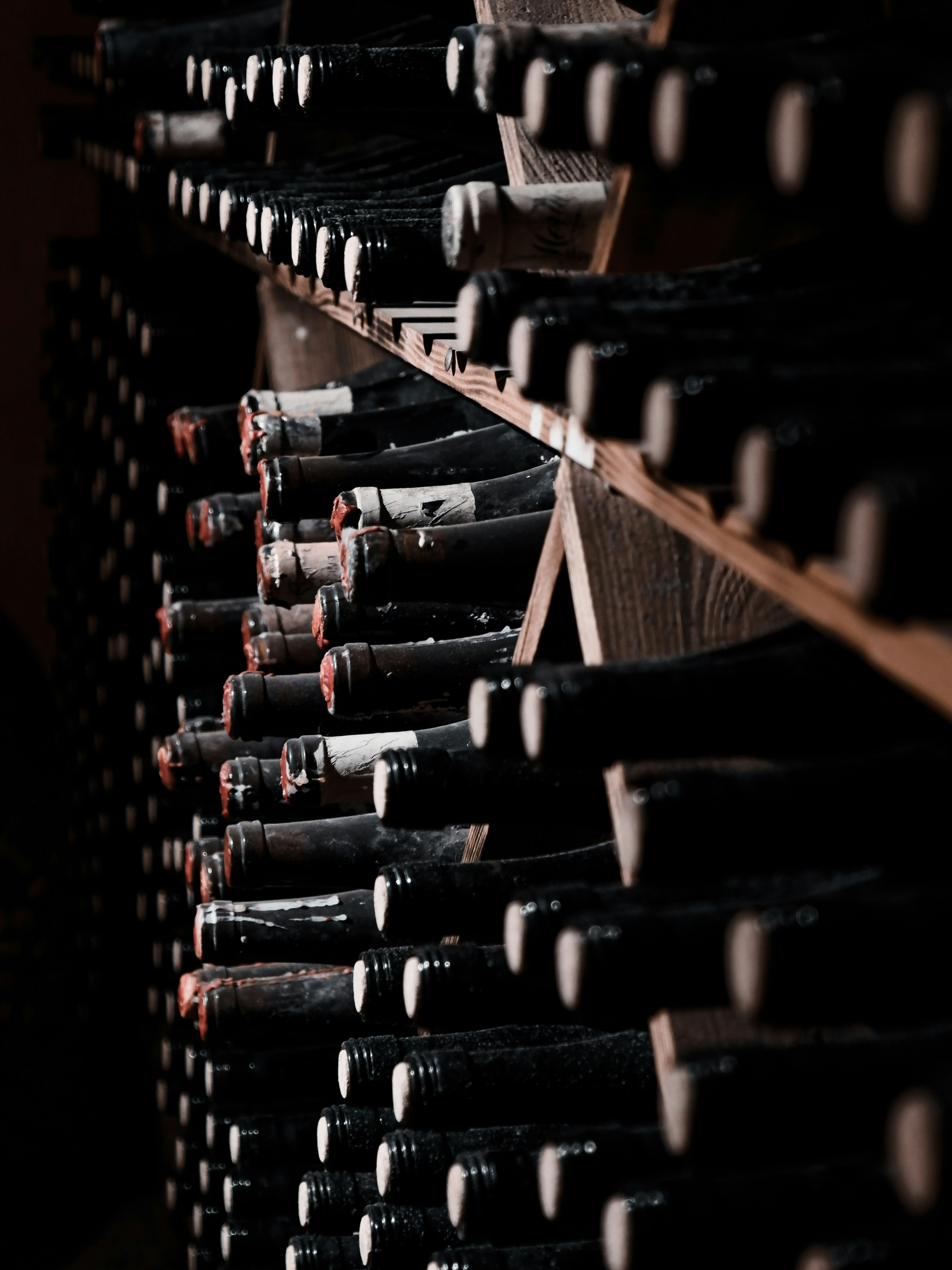 Wine Flavors from Aging in the Bottle