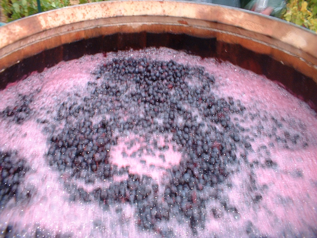 Wine Flavors From Fermentation