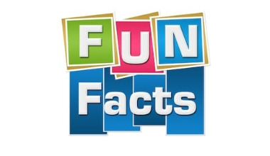 Wine Fun Fact: What is Élevage?