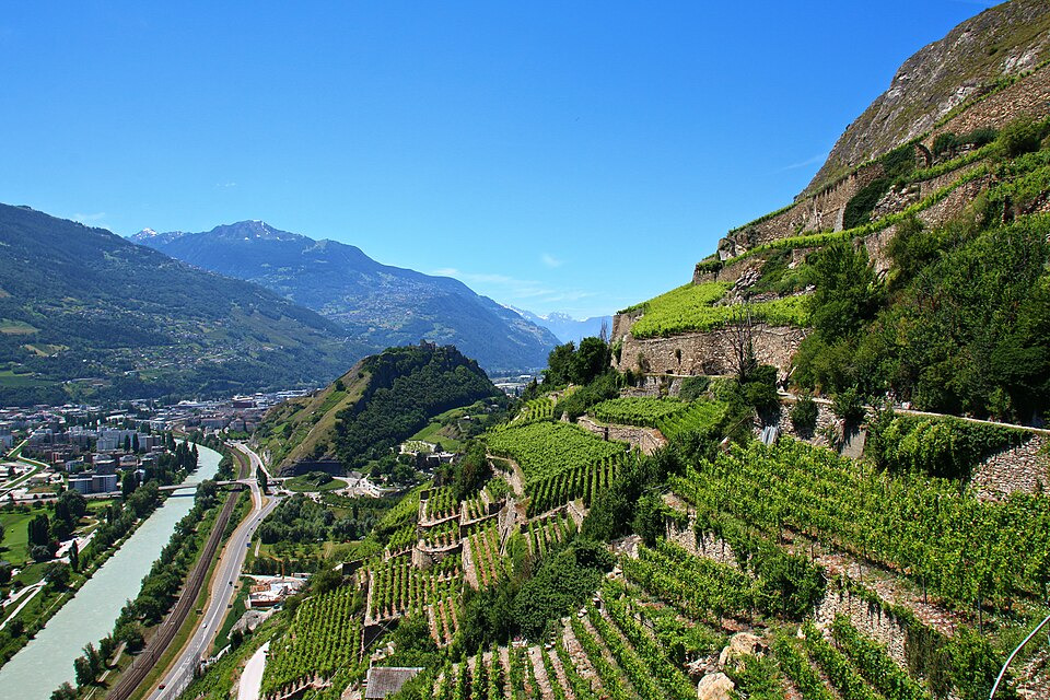 The Rhône River Valley & GSM -- The Other Red Blend from France