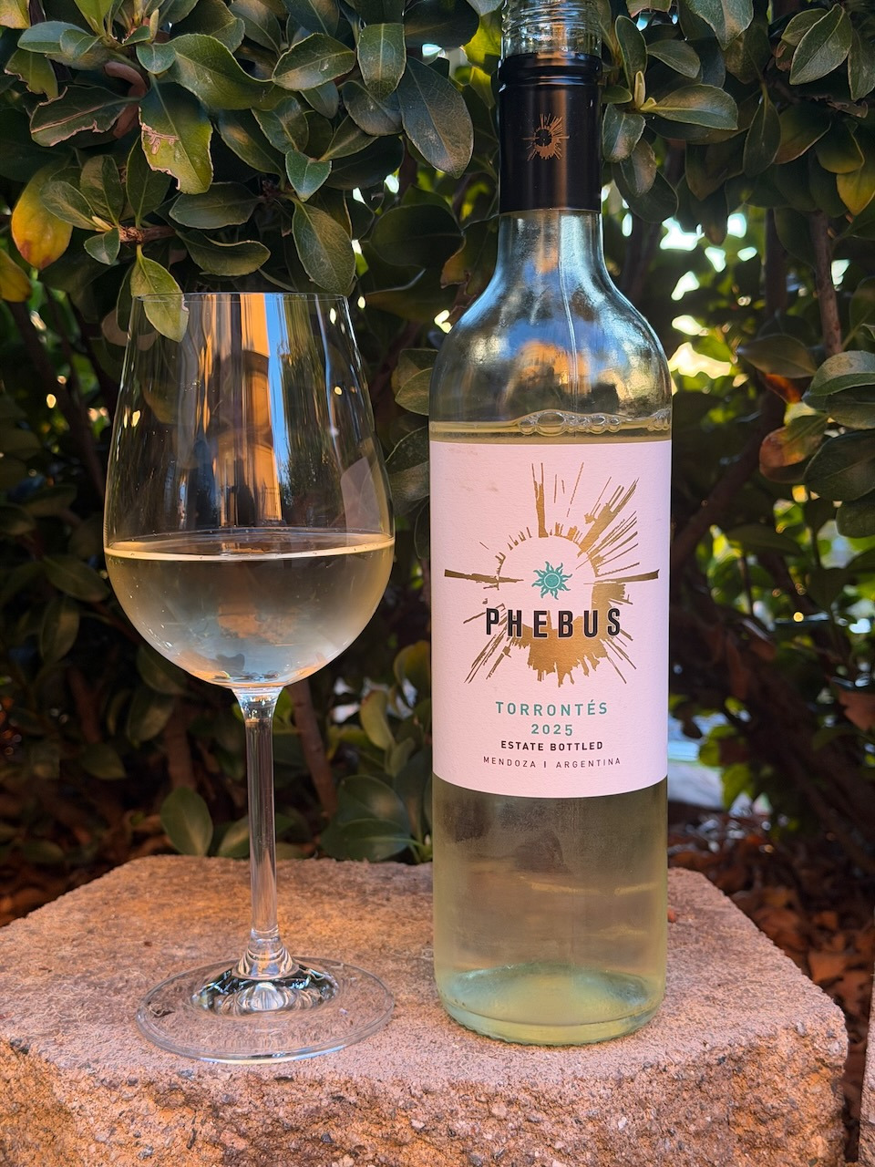 Behind the Cork™ - Phebus Torrontés