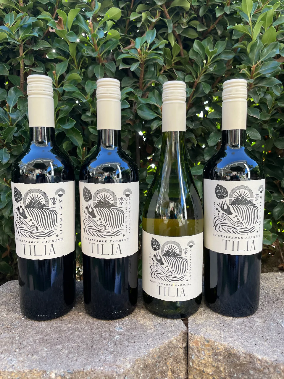 Behind the Cork™ - Wines of TILIA (Part 2)