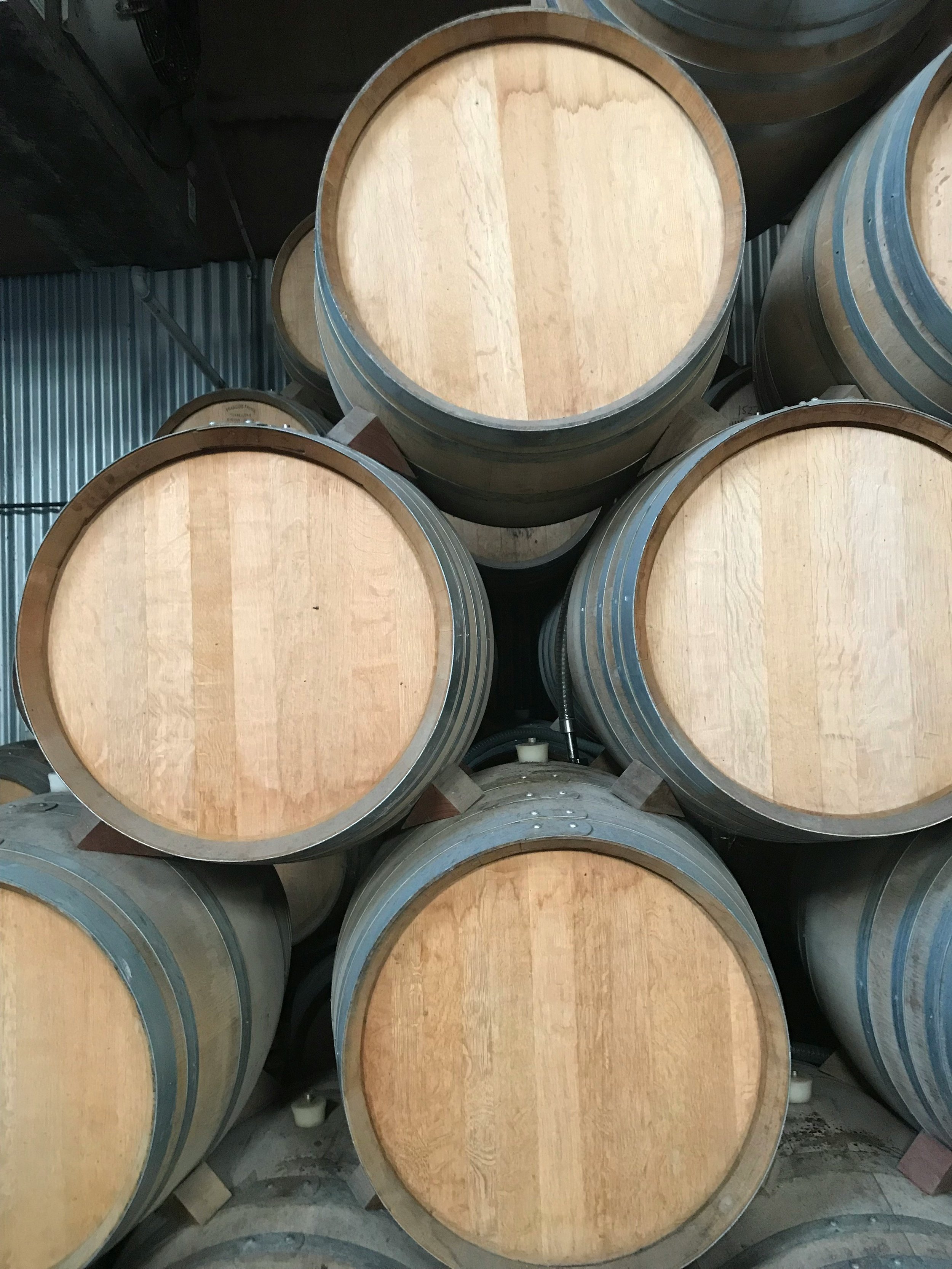 Ever Wonder? What Do these Terms Mean on a Wine Label?